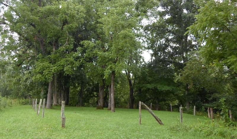 Davis Cemetery