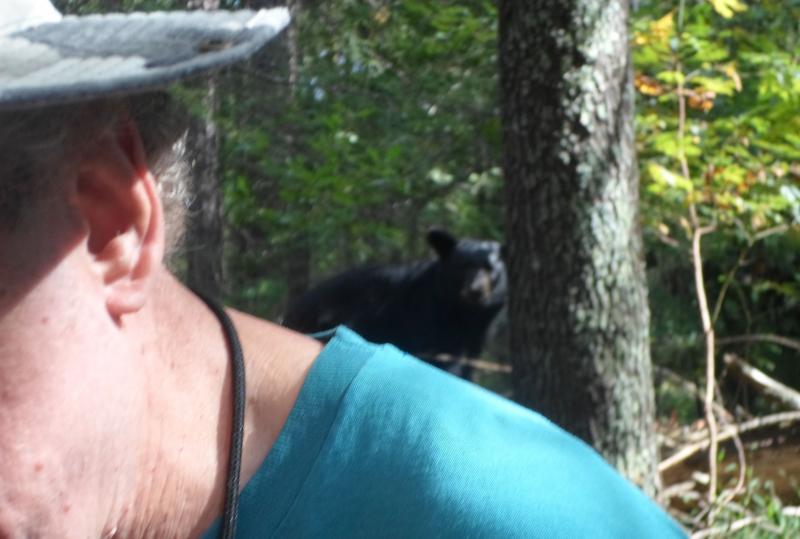 Bear With Me