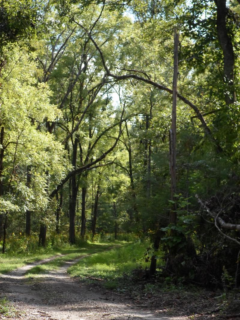Hazel Creek Trail