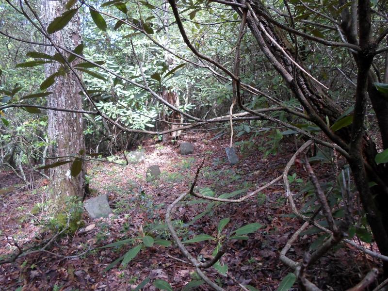 Hanner Fish Cemetery