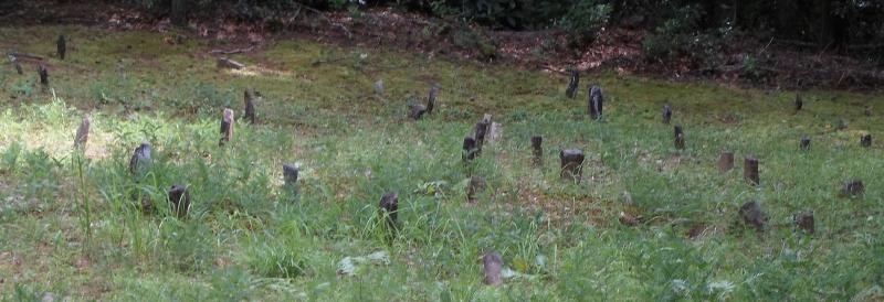 Laney Cemetery