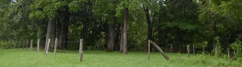 Davis Cemetery