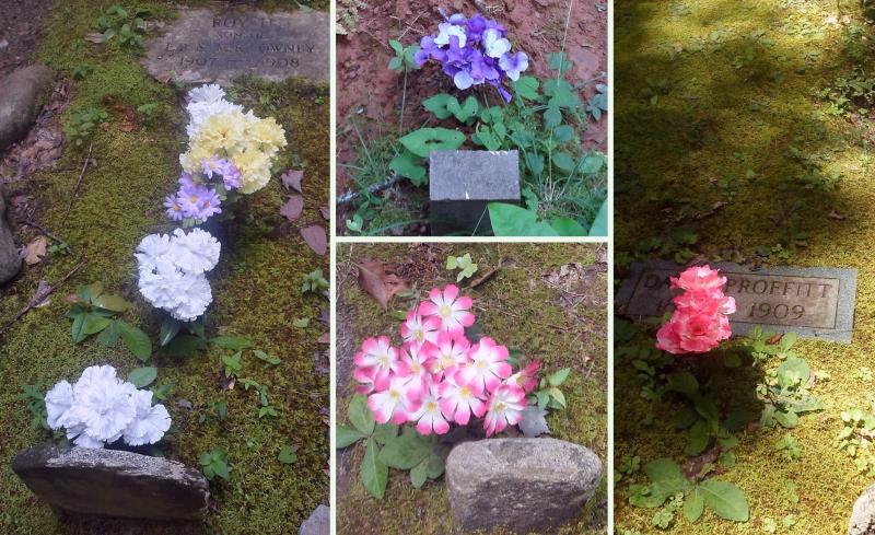 Cloth flowers