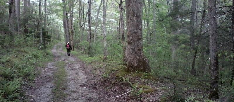 Hiker Safety Class Outline