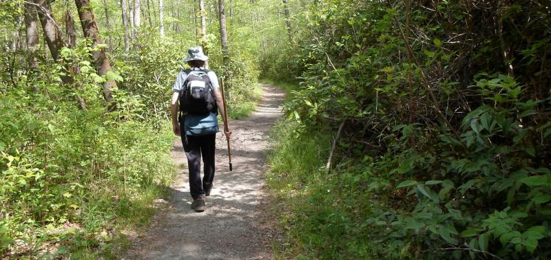 Hiking Information