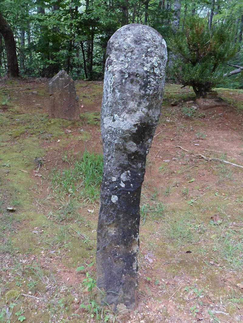 Any unusual found rock might be a candidate for use as a headstone.