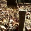 Dodgen-Rayfield Cemetery