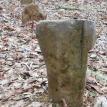 McGhee Cemetery