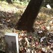 Dodgen-Rayfield Cemetery